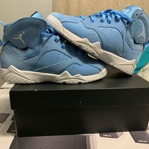 Jordan 7 pantone